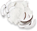 جوزة الهند