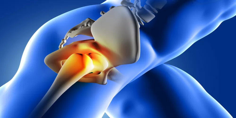 الدعم الأمثل لمفاصل صحية وحركة مريحة